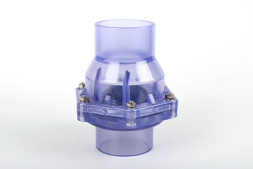 罗城透明翻板式止回阀